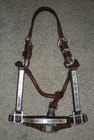 New Weanling Leather Silver Show Halter  Western Horse Tack
