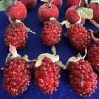 Lot Of  29 Vintage Faux Fruit  Beaded Sugar Frosted Apple Raspberry Cherry