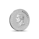 2025 1 10 Oz Australian Platinum Kookaburra Coin  bu 