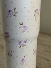 Hydrapeak Artisan Collection Ivory Pink Roses Polka Dot 32 Oz Tumbler New