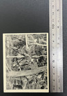 Wwii Japanese Military Photo Card  20938