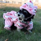 Puppy Dog Cat Pet Chinese New Year Lion Cosplay Costume Warm Coat Jacket Clothes