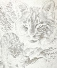 Vintage Iron On Transfer Snow Leopards White For Dark Fabric 18  X 14  T-shirt