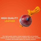 Bratla Hanging Cricket Ball With Cord String Leather Seasoned Cricket Ball