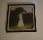 Antique Magic Lantern Slide The Promise Of Life No3 C1910 Photo Woman In Garden 
