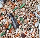Gourmet Cockatiel Food Fortified W  Vitamins Choose Size