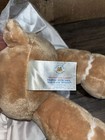 Hello Kitty Build-a-bear Gingerbread Christmas Plush Sanrio Limited 2012 Rare 