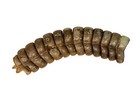 Extra Large Texas Rattlesnake Rattle  598-r1-xl  Y2j
