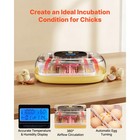 Uimoso 24 Egg Incubator With Auto Rotation  Temperature   Humidity Control