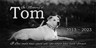 Pet Stone Memorial Grave Marker Plaque Human Headstone Great Dane Dog Cat