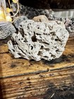 Hag Stone Rare