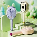 3-in-1 Electric Spray Massage Hair Brush Strong Ion Air Cushion Comb With Mist