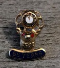 Rare Bpoe Benevolent Order Of The Elks Fraternal Org  55 Years Gold Lapel Pin