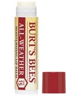 Burt s Bees 100  Natural All-weather Spf15 Moisturizing Lip Balm 12pk Box