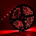 5m 3528   5050 Smd 300leds   150leds Black Pcb Led Tape Light Strip Waterproof