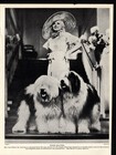1930s Vintage Old English Sheepdog Print Jean Harlow   Her Sheepdogs 6114q