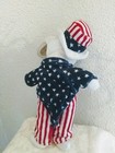 Celebrity Bears Born A Star   86 Uncle Sam Design Plush Stuffed Bear 11  W tag