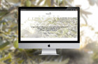 Professional Website - Wordpress Responsive Design Mobile Ready - Web Design