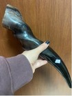 Huge Polished  Eland Horn Shofar  20    50cm  Kosher From Israel   Best Price