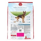 Purina One  plus Joint Health Natural Chicken Flavor Dry Dog Food - 16 5lbs