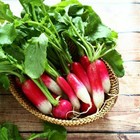 French Breakfast Radish Seeds   Heirloom   Free Shipping   Seed Store   1095