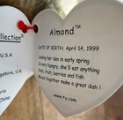 Ty Beanie Baby Almond The Bear Errors Rare 1999 Retired Original   Authentic 