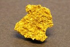 Gold Specimen Crystalline Gold  0 56 Gram  Muleshoe Mine  Siskiyou Co  Ca
