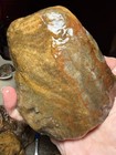 1lb 15oz Agatized Oolitic Jasper Lake Superior Lapidary Rough Display Specimen