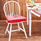 Gingham Chair Cushion  Multicolor  17 w X 18 l