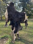 Moose Hide Pelt Fur Tanned Ethically Sourced Craft Or Blanket cover