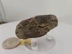 Real Dinosaur Egg Fossil Uv Reactive Permineralization Fossil Suspect Bird