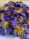 Blue Lotus Flowers Nymphaea Caerulea Premium Sun Dry Egyptian Natural Herb Drink