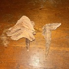 Pine Knot Blanks For Carving Lot Of  2  Wood Spirit