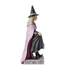 Enesco Jim Shore Heartwood Creek Halloween Witch Pumpkin Skirt Figurine 8 27 In 