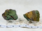 Haystack Butte Jelly Bean Jasper Slab Set  Lot 348