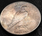 1928 Peace Dollar- 90  Silver-key Date-toned- Collectors Coin-reeded