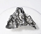 5 48 Grams Campo Del Cielo Meteorite Iron Argentina Flat Side Coa