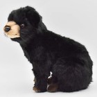 Bh7040 Hansa Black Bear Cub 25 Realistic Stuffed Animals Plush
