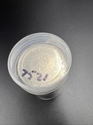 Lot Of 20  1 Casino Dollar Gaming Tokens Metal Circulated Conditions Sku 7521