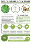 Catnip Organic Fresh Fine Cut Premium Cat Treat Cat Toy Kitten 4 Ounces