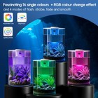 Small Fish Tank Aquarium Kit 3 Gallon With Filter And Multi Color Led Lighting