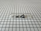 Black P Crystalline Periodic Table Element Collection Sealed Ampoule 0 1 Gram