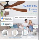 52 Smart Indoor outdoor Ceiling Fans With Lights And Remote Control
