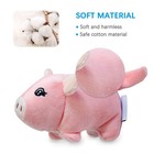 Squeaky Plush Dog Toy 6 Pack For Puppy  Small Stuffed Puppy Chew Dog Toys Bul   