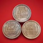 1919-p 1919-d 1919-s Lincoln Wheat Cent Penny Set Fast Shipping