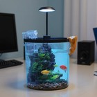 Small Fish Tank 6pcs Betta Fish Tank Kit With Filter Led Light Oxygen Generato