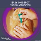 Frontline Plus For Dogs Flea   Tick Treatment  Small Dog  5-22 Lbs  6 Doses