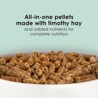 Kaytee Timothy Complete Guinea Pig Pet Food  Resealable Zipper  5 Pounds