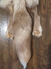 Rare Ranch White Diamond  Fox Hide Pelt Freshly Tanned  Luxurious Fur 4 Legs