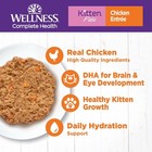 Wellness Kitten Wet Cat Food Chicken Pate 5 5 Ounce Pack Of 24 Natural Protein